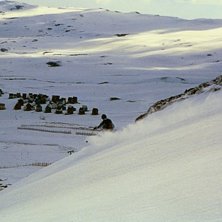 Foto: Linnea Axberg. &Aring;kare: Johan Lilljeqvist.