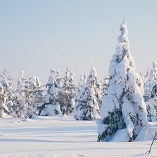 L&auml;ngtar till sn&ouml;n kommer (:.