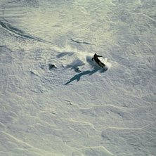 Foto: Linnea Axberg. &Aring;kare: Johan Lilljeqvist.