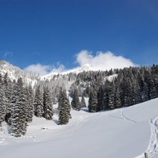 Foto: Klas Rydstrand.