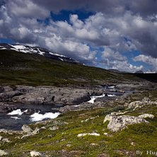 en bild fr&aring;n f&ouml;rra sommaren . Foto: hugo ljungquist.