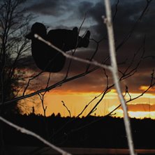 fick en ganska lyckad bild p&aring; broder och solskene. Foto: jag. &Aring;kare: erik r&ouml;ckner.