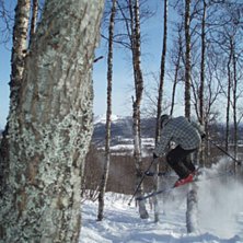 Rail p&aring; ett fallet tr&auml;d. Foto: Alexander Bod&eacute;n. &Aring;kare: Gustav Bod&eacute;n.