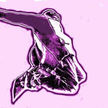 p&aring; skolg&aring;rden. Foto: leonard rooney. &Aring;kare: arvid rask.