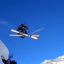 Galt&uuml;r har kanske inte s&aring; m&aring;nga r&auml;tt, men den . Foto: Markus Ottosson. &Aring;kare: Sam Alinski.