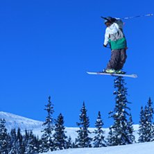 Foto: H&aring;kan T&ouml;rnblom. &Aring;kare: Anton T&ouml;rnblom.