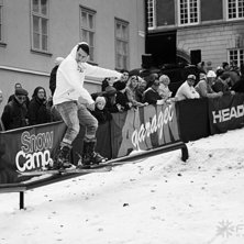 Winter Show i Kungstr&auml;dg&aring;rden 2014.. Foto: Hedda Berander.