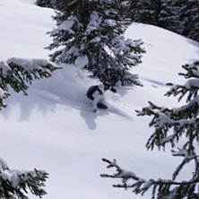 Foto: Antti Suhonen. &Aring;kare: Ted Wennstr&ouml;m.