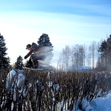 fs 180 stalefish. Foto: Mor. &Aring;kare: Tim Linng&aring;rd.