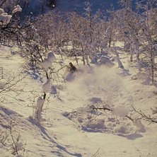 Tokigt mycket sn&ouml;!. Foto: Christer Hill&ouml;rn. &Aring;kare: Daniel Olsson.