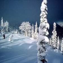 Turade lite med Natasha. Sk&ouml;nt ljus just innan sn. Foto: P&auml;r Lindholm. &Aring;kare: Natasha.