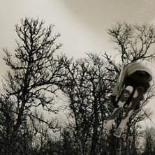 Ett sista eftermiddags&aring;k i den lilla stugbacken  . Foto: Mattias L&ouml;f. &Aring;kare: Petter Elfsberg.