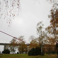 Sj&auml;lvutl&ouml;sare o snabbt upp p&aring; linan!. Foto: Lars Odeblad Helseth.