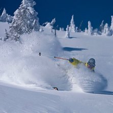 En till bild i serien fr&aring;n Big Red Cats. Sjuk dag. Foto: Joakim Larson. &Aring;kare: Richard Larson.
