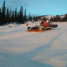 Solen varmer og bakken er nypreppet
Det blir ikke .