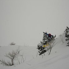 Fin &aring;kning p&aring; lavancher sidan. min personliga fa. Foto: DennisDiskarnAnderson. &Aring;kare: Nikke.