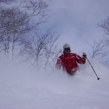 Strawberry Fields. Foto: Ian Burchill. &Aring;kare: Marcus Patten.
