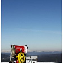 Foto: Conny Bergqvist. &Aring;kare: Sn&ouml;slunga.