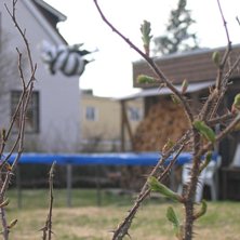 sk&ouml;n kv&auml;ll :). Foto: viktor nordling. &Aring;kare: m-b-w.