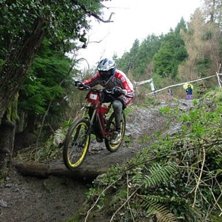 Foto: NIKLAS SIMONSSON.