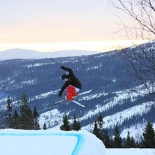 mute. Foto: anton rung. &Aring;kare: jag.