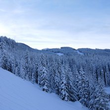 Morgon i Creekside, Whistler. Foto: Emil Rydell.
