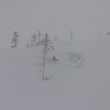 Foto: madelene jonsson. &Aring;kare: ville berg-malmborg.