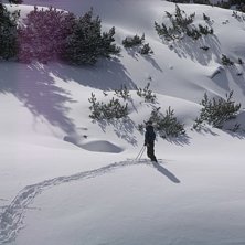Foto: Pappa lundborg. &Aring;kare: Anton Lundborg.