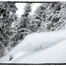 En v&auml;nstersv&auml;ng i magic forest.. Foto: Ola Melin. &Aring;kare: Johan &Aring;kesson.