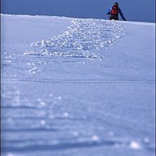 Foto: Daniel Johansson. &Aring;kare: Rickard Ljunggren.