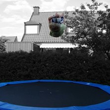 Liten edit p&aring; en Bio 540. Foto: Jacob. &Aring;kare: Jag.