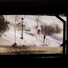 Fyrkink i ume&aring;. Foto: Johanwennerstrom.se. &Aring;kare: Jens Nystr&ouml;m.
