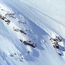 Foto: Magnus Th&ouml;rewik. &Aring;kare: Tobias Liljeroth.