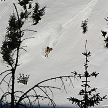 Foto: Mikko Lappalainen. &Aring;kare: Petteri Bjurstr&ouml;m.
