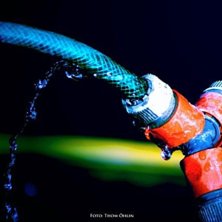 Foto: Thom &Ouml;hlin.