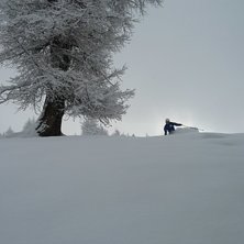 Foto: Patrik. &Aring;kare: David.