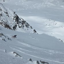 Freeride p&aring; Aiguille du midi North Face. Foto: Mikko Heimonen. &Aring;kare: Jesper Petersson.