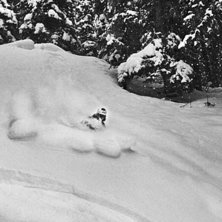 Foto: David G&auml;rdshagen. &Aring;kare: Martin Johansson.