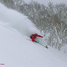 Spraying in Higashi One! Japan -18. Foto: J Molin. &Aring;kare: R. Hortlund.