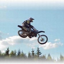 Bilden anv&auml;nds som enterlogga till Natursidan, ko. Foto: Unknown. &Aring;kare: Jag...