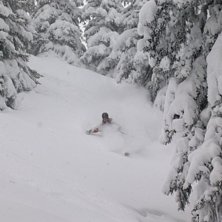Erik p&aring; v&auml;g genom ner skogen i Madrisa, Davos, e. Foto: Emma &Ouml;stling. &Aring;kare: Erik Isberg.