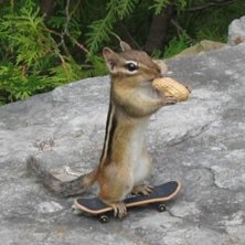 ja den va ju s&ouml;t.... Foto: ?. &Aring;kare: Korre.