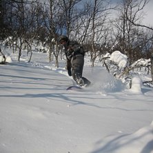 Foto: T Rydberg. &Aring;kare: Elin Nordh.