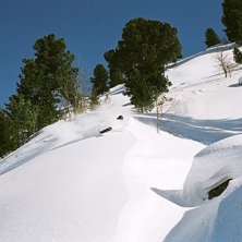 Foto: Kicki &Aring;berg. &Aring;kare: Peder Lundberg.