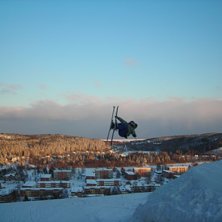 sw... Foto: virr. &Aring;kare: Didrik.T.