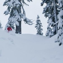 Foto: Nils Hallgren. &Aring;kare: Mattias Fredler.