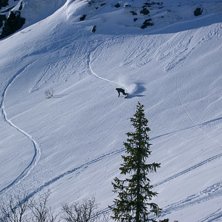 Foto: Maria. &Aring;kare: jag.