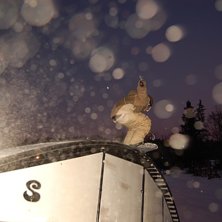 Regnb&aring;gsbox. Foto: Crille H&eacute;lmer. &Aring;kare: Maxi Hjorth.