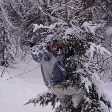 Tr&auml;bestigning. Foto: Patrik. &Aring;kare: Rikard.