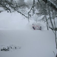 Puderfrossa i skogen. Foto: Viktor Sundvall. &Aring;kare: Sebastian Westberg.
